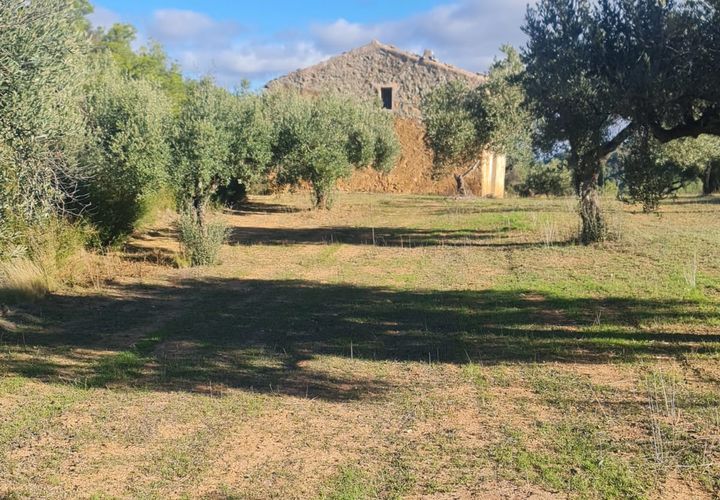Landejendom i Asco, Tarragona, Asco - € 29.000 | Ref: 1003 Pasco - foto 1